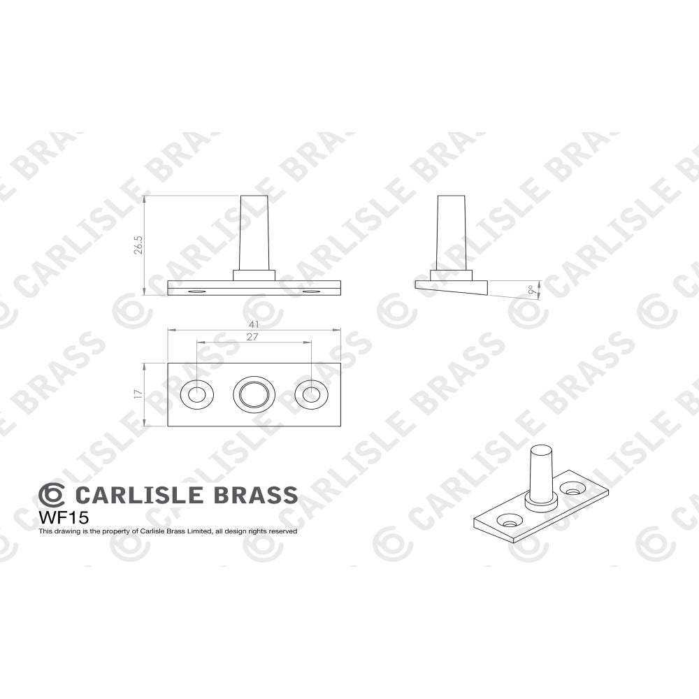 This image is a line drwaing of a Carlisle Brass - EJMA Pin - Polished Chrome available to order from T.H Wiggans Architectural Ironmongery in Kendal in Kendal