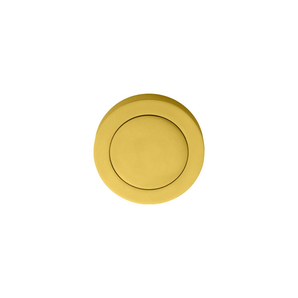 This is an image of Manital - Blank Escutcheon - Polished Brass available to order from T.H Wiggans Architectural Ironmongery in Kendal, quick delivery and discounted prices.