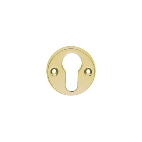 This is an image of Carlisle Brass - Euro Profile Escutcheon - Polished Brass available to order from T.H Wiggans Architectural Ironmongery in Kendal, quick delivery and discounted prices.