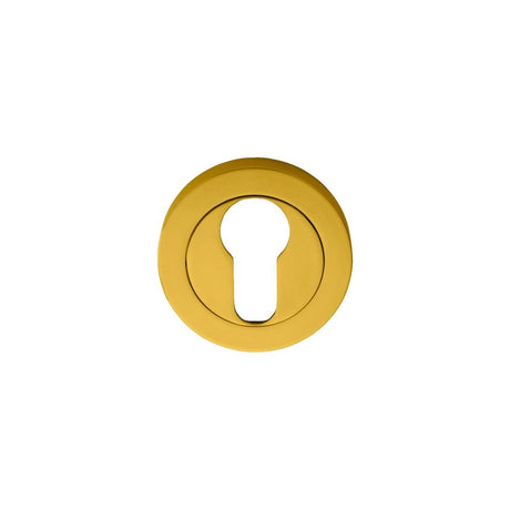 This is an image of Manital - Euro Profile Escutcheon - Polished Brass available to order from T.H Wiggans Architectural Ironmongery in Kendal, quick delivery and discounted prices.