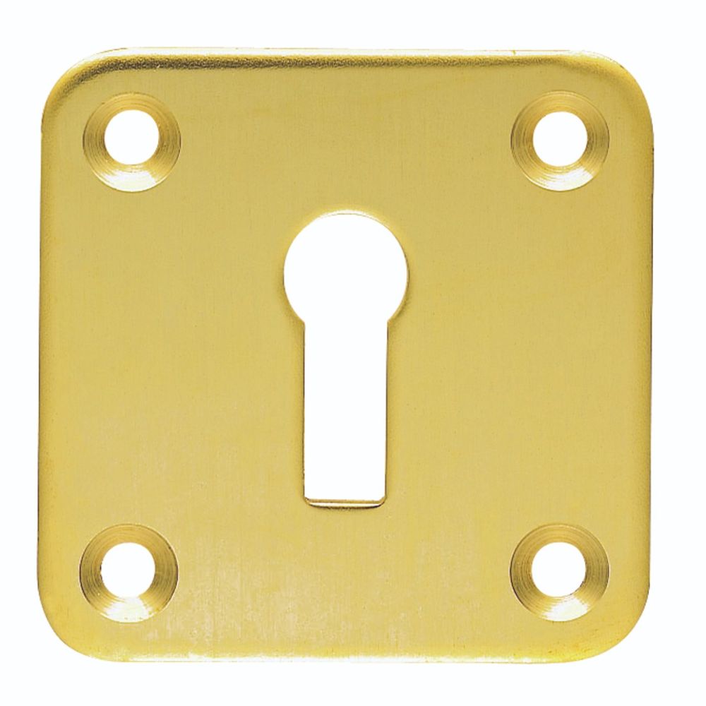 This is an image of Carlisle Brass - Square Standard Profile Escutcheon - Polished Brass available to order from T.H Wiggans Architectural Ironmongery in Kendal, quick delivery and discounted prices.