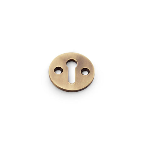 This is an image showing Alexander & Wilks Standard Profile Round Escutcheon - Antique Brass aw380-ab available to order from T.H Wiggans Ironmongery in Kendal, quick delivery and discounted prices.