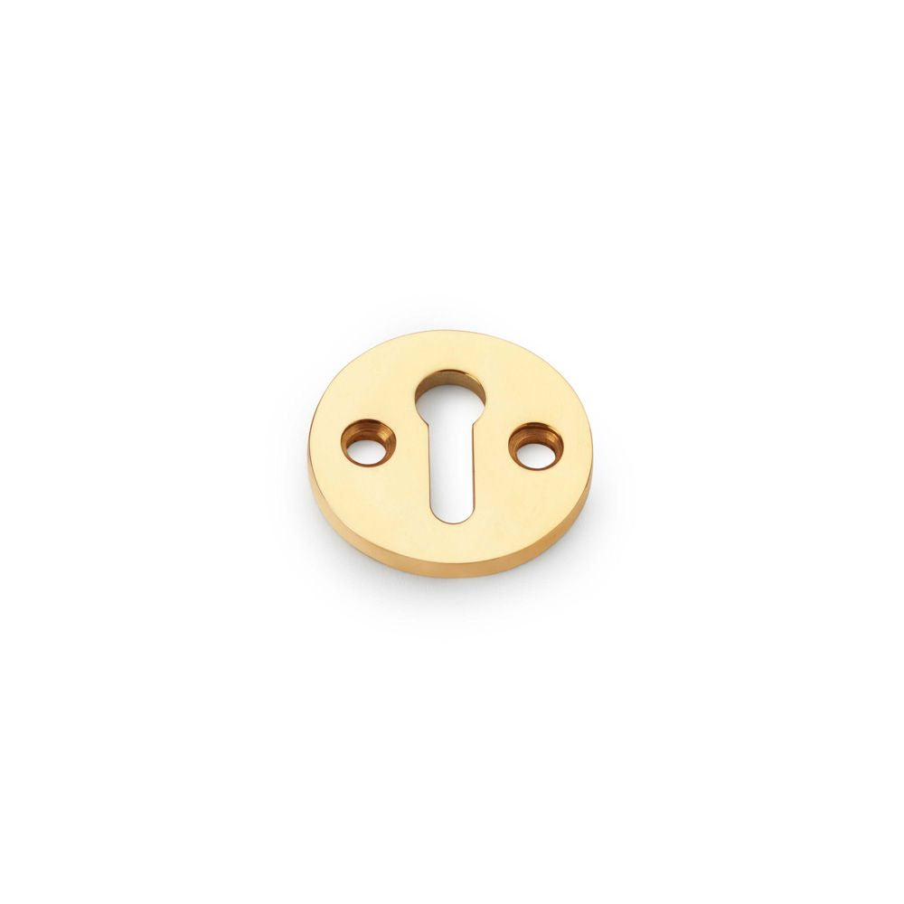This is an image showing Alexander & Wilks Standard Profile Round Escutcheon - Unlacquered Brass aw380-ub available to order from T.H Wiggans Ironmongery in Kendal, quick delivery and discounted prices.