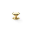 This is an image showing Alexander & Wilks Waltz Round Cupboard Knob on Stepped Rose - Polished Brass - 25mm aw825-25-pbl available to order from T.H Wiggans Ironmongery in Kendal, quick delivery and discounted prices.