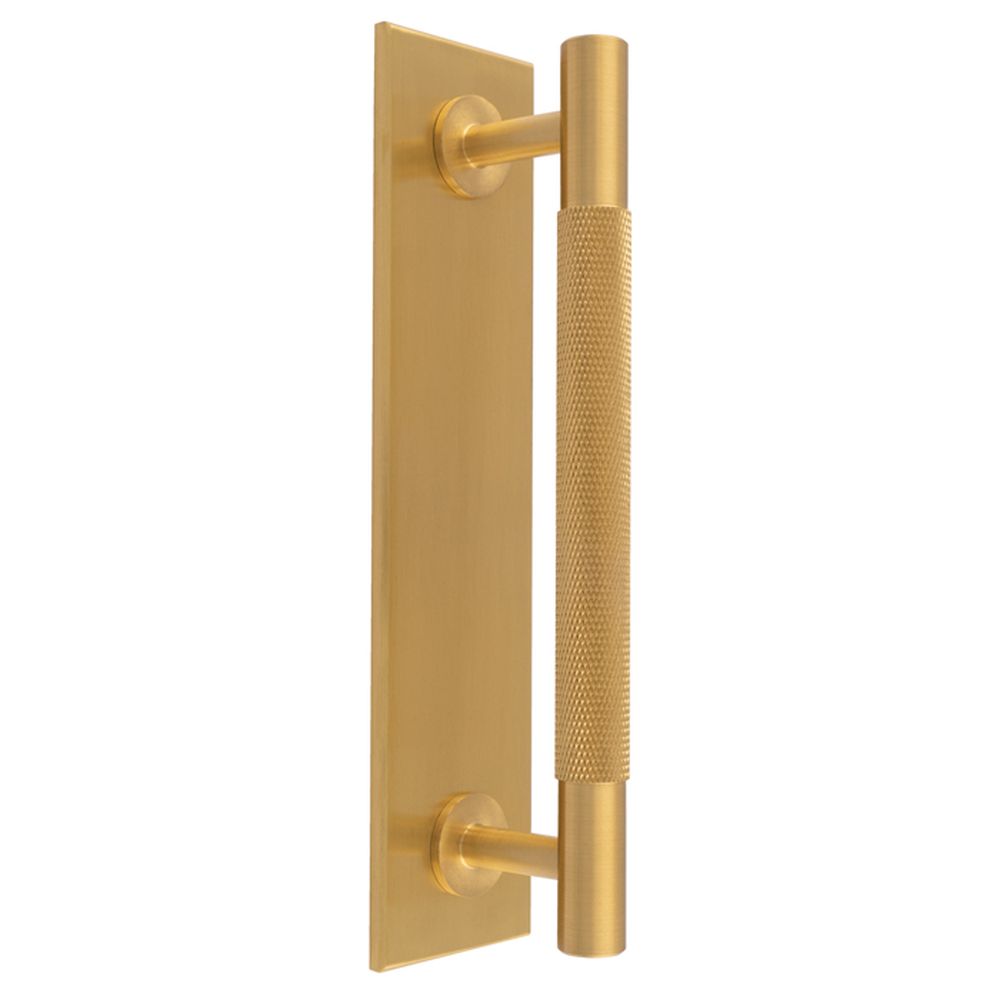 This is an image of a Carlisle Brass - Knurled Pull handle on Backplate that is availble to order from T.H Wiggans Architectural Ironmongery in Kendal in Kendal.