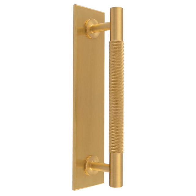 This is an image of a Carlisle Brass - Knurled Pull handle on Backplate that is availble to order from T.H Wiggans Architectural Ironmongery in Kendal in Kendal.