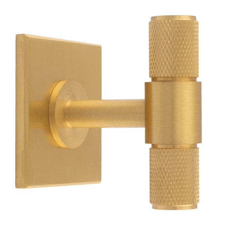 This is an image of a Carlisle Brass - Knurled T-Bar on backplate that is availble to order from T.H Wiggans Architectural Ironmongery in Kendal in Kendal.