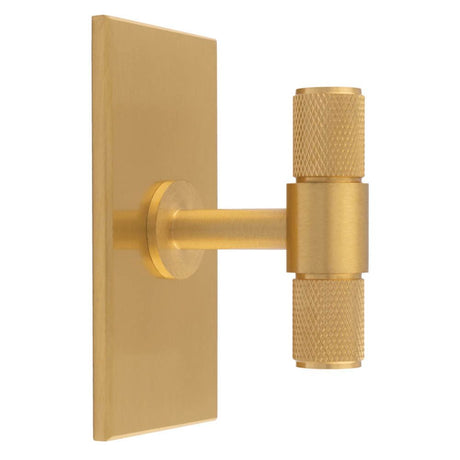 This is an image of a Carlisle Brass - Knurled T-Bar on backplate that is availble to order from T.H Wiggans Architectural Ironmongery in Kendal in Kendal.