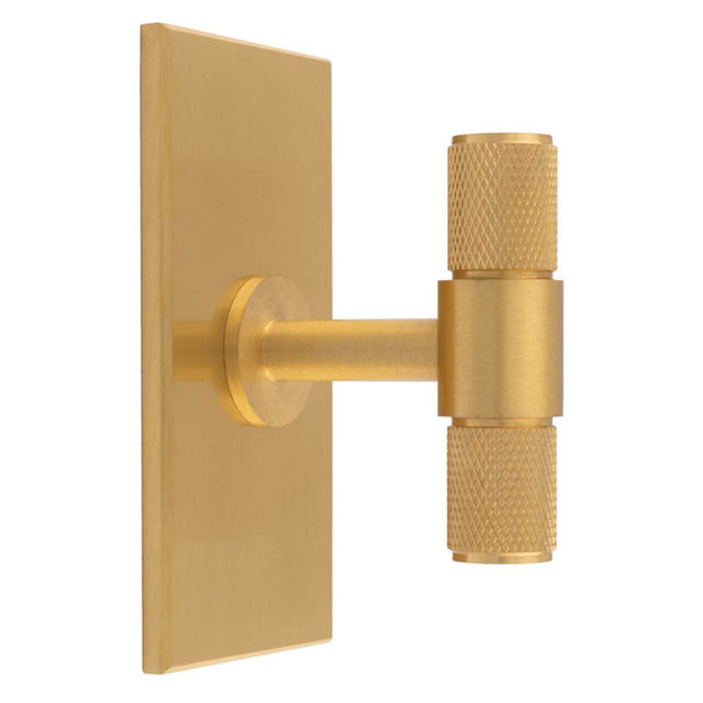 This is an image of a Carlisle Brass - Knurled T-Bar on backplate that is availble to order from T.H Wiggans Architectural Ironmongery in Kendal in Kendal.