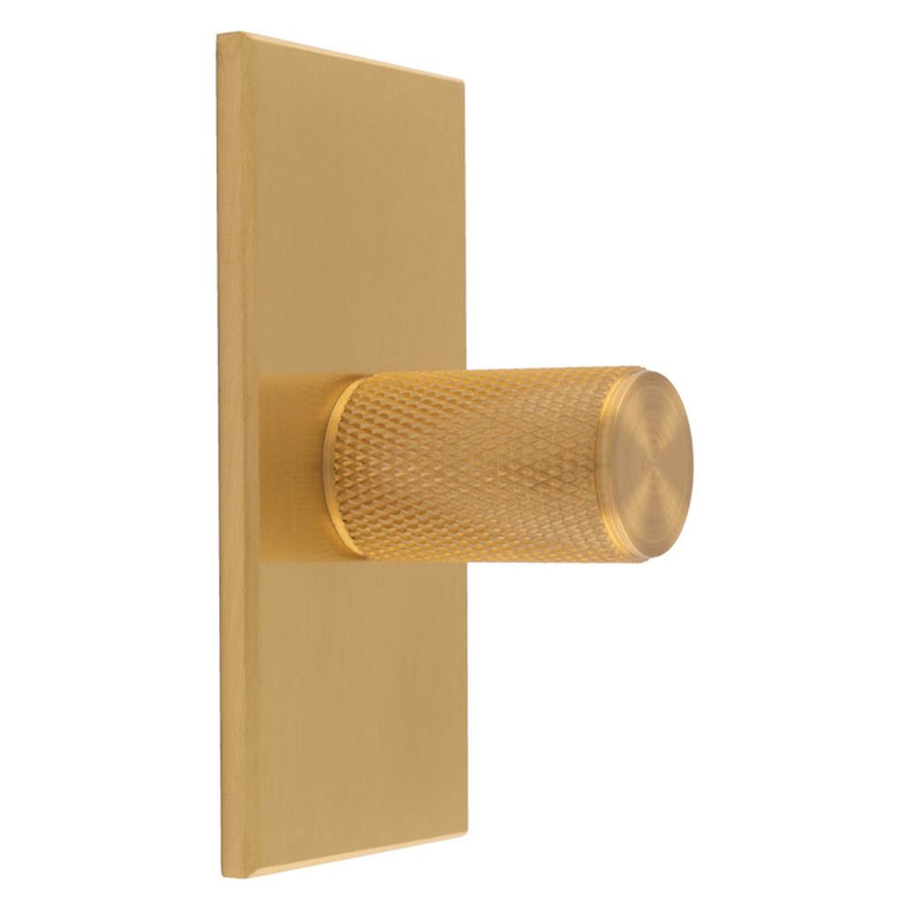 This is an image of a Carlisle Brass - Knurled Cylinder Knob on backplate that is availble to order from T.H Wiggans Architectural Ironmongery in Kendal in Kendal.