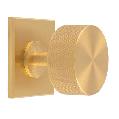 This is an image of a Carlisle Brass - Knurled Radio Knob on Backplate that is availble to order from T.H Wiggans Architectural Ironmongery in Kendal in Kendal.