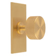 This is an image of a Carlisle Brass - Knurled Radio Knob on Backplate that is availble to order from T.H Wiggans Architectural Ironmongery in Kendal in Kendal.