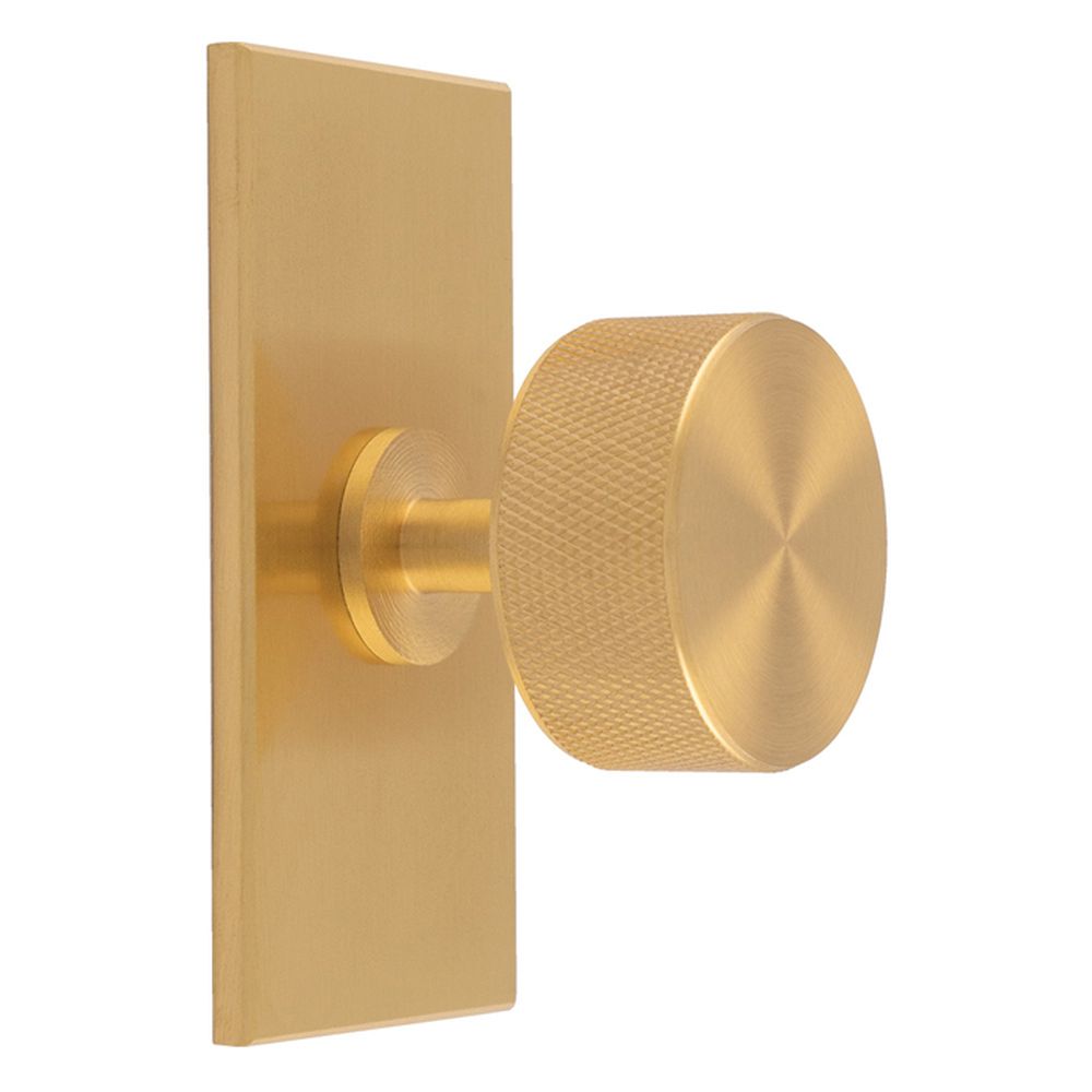 This is an image of a Carlisle Brass - Knurled Radio Knob on Backplate that is availble to order from T.H Wiggans Architectural Ironmongery in Kendal in Kendal.