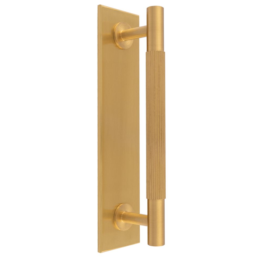 This is an image of a Carlisle Brass - Lines Pull Handles on backplate that is availble to order from T.H Wiggans Architectural Ironmongery in Kendal in Kendal.