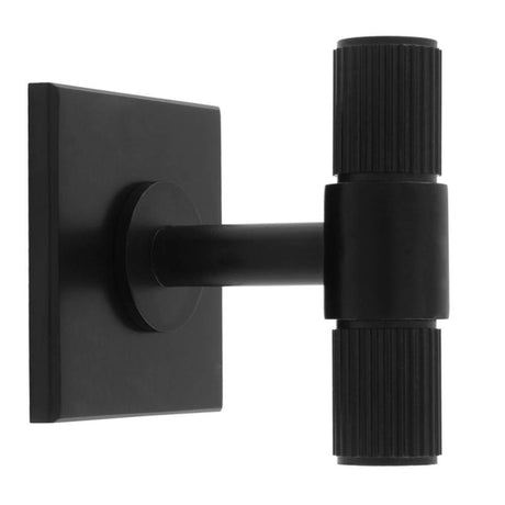 This is an image of a Carlisle Brass - Lines T-Bar Knob on Backplate that is availble to order from T.H Wiggans Architectural Ironmongery in Kendal in Kendal.