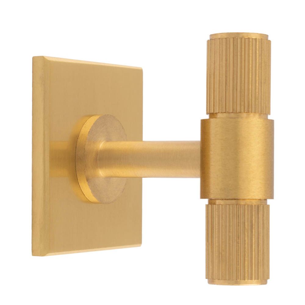 This is an image of a Carlisle Brass - Lines T-Bar Knob on Backplate that is availble to order from T.H Wiggans Architectural Ironmongery in Kendal in Kendal.