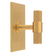 This is an image of a Carlisle Brass - Lines T-Bar Knob on Backplate that is availble to order from T.H Wiggans Architectural Ironmongery in Kendal in Kendal.