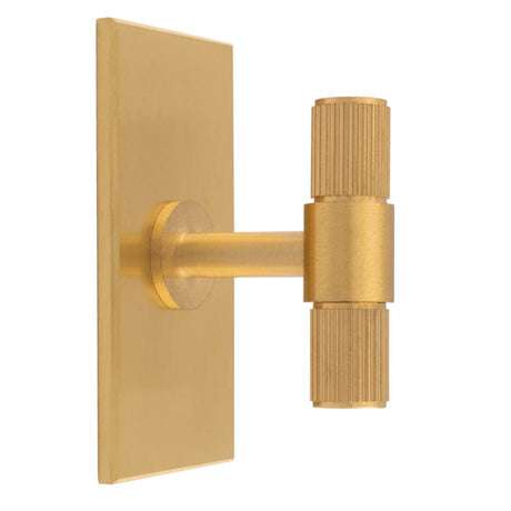 This is an image of a Carlisle Brass - Lines T-Bar Knob on Backplate that is availble to order from T.H Wiggans Architectural Ironmongery in Kendal in Kendal.