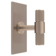 This is an image of a Carlisle Brass - Lines T-Bar Knob on Backplate that is availble to order from T.H Wiggans Architectural Ironmongery in Kendal in Kendal.