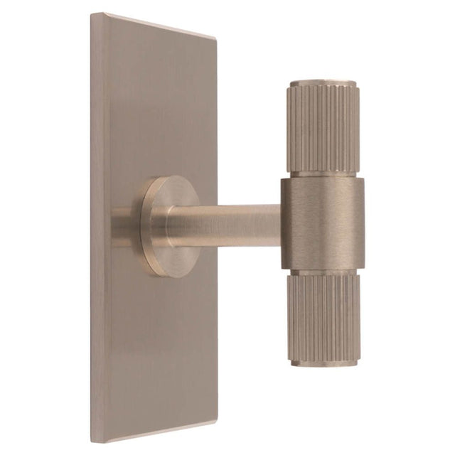 This is an image of a Carlisle Brass - Lines T-Bar Knob on Backplate that is availble to order from T.H Wiggans Architectural Ironmongery in Kendal in Kendal.