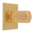 This is an image of a Carlisle Brass - Lines Cylinder Knob on Backplate that is availble to order from T.H Wiggans Architectural Ironmongery in Kendal in Kendal.