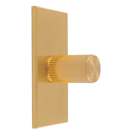 This is an image of a Carlisle Brass - Lines Cylinder Knob on Backplate that is availble to order from T.H Wiggans Architectural Ironmongery in Kendal in Kendal.