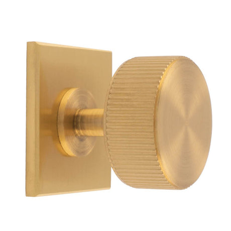 This is an image of a Carlisle Brass - Lines Radio Knob on Backplate that is availble to order from T.H Wiggans Architectural Ironmongery in Kendal in Kendal.