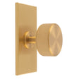 This is an image of a Carlisle Brass - Lines Radio Knob on Backplate that is availble to order from T.H Wiggans Architectural Ironmongery in Kendal in Kendal.