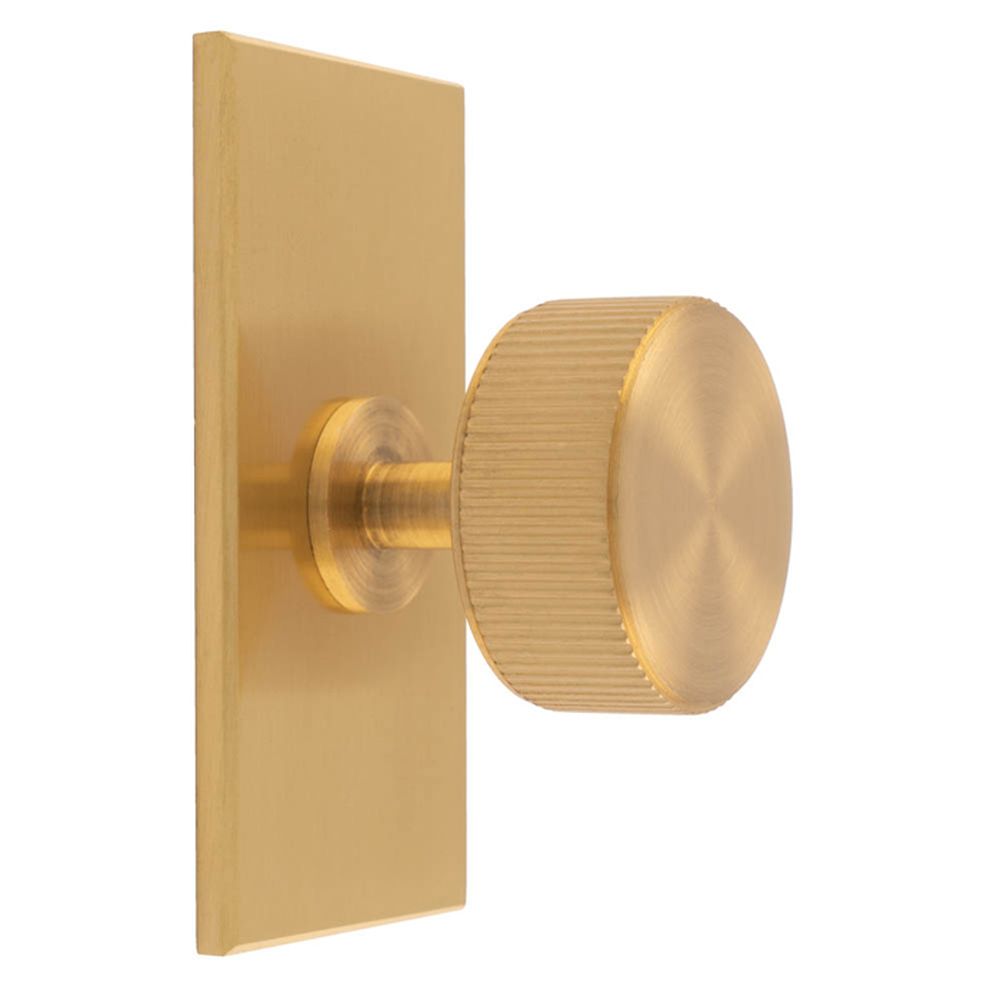 This is an image of a Carlisle Brass - Lines Radio Knob on Backplate that is availble to order from T.H Wiggans Architectural Ironmongery in Kendal in Kendal.