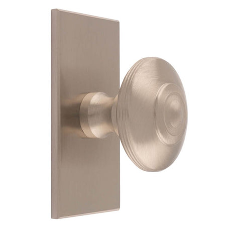 This is an image of a Carlisle Brass - Anderson knob on Backplate that is availble to order from T.H Wiggans Architectural Ironmongery in Kendal in Kendal.