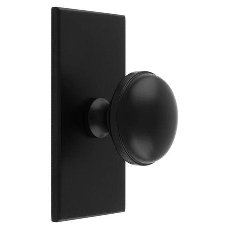 This is an image of a Carlisle Brass - Warwick Cupboard Knob on Backplate that is availble to order from T.H Wiggans Architectural Ironmongery in Kendal in Kendal.