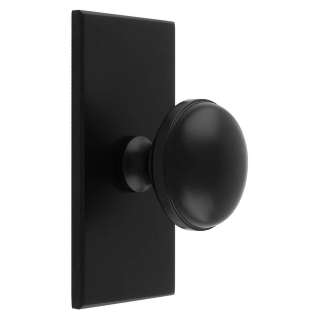 This is an image of a Carlisle Brass - Warwick Cupboard Knob on Backplate that is availble to order from T.H Wiggans Architectural Ironmongery in Kendal in Kendal.