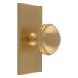 This is an image of a Carlisle Brass - Warwick Cupboard Knob on Backplate that is availble to order from T.H Wiggans Architectural Ironmongery in Kendal in Kendal.