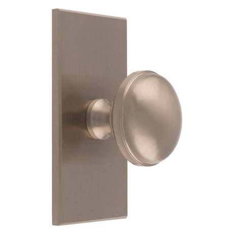 This is an image of a Carlisle Brass - Warwick Cupboard Knob on Backplate that is availble to order from T.H Wiggans Architectural Ironmongery in Kendal in Kendal.