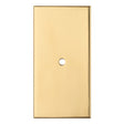 This is an image of a Carlisle Brass - Rectangular Cupboard knob Backplate that is availble to order from T.H Wiggans Architectural Ironmongery in Kendal in Kendal.