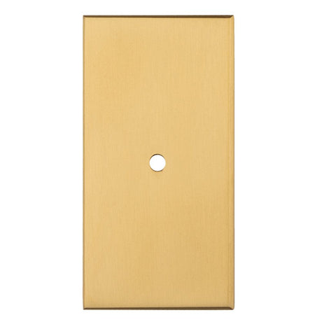 This is an image of a Carlisle Brass - Rectangular Cupboard knob Backplate that is availble to order from T.H Wiggans Architectural Ironmongery in Kendal in Kendal.