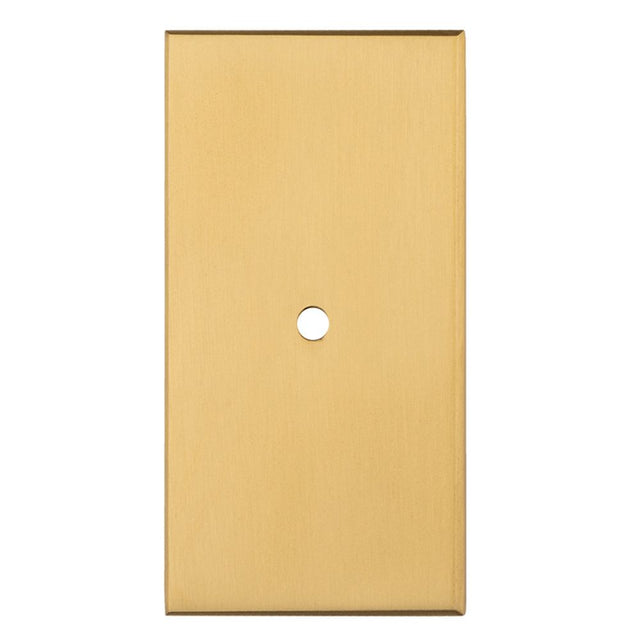 This is an image of a Carlisle Brass - Rectangular Cupboard knob Backplate that is availble to order from T.H Wiggans Architectural Ironmongery in Kendal in Kendal.