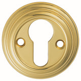 This is an image of Carlisle Brass - Delamain Euro Profile Escutcheon - Polished Brass available to order from T.H Wiggans Architectural Ironmongery in Kendal, quick delivery and discounted prices.