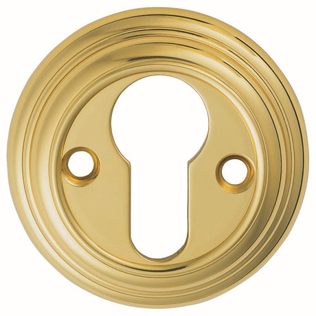 This is an image of Carlisle Brass - Delamain Euro Profile Escutcheon - Polished Brass available to order from T.H Wiggans Architectural Ironmongery in Kendal, quick delivery and discounted prices.