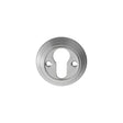 This is an image of Carlisle Brass - Delamain Euro Profile Escutcheon - Satin Chrome available to order from T.H Wiggans Architectural Ironmongery in Kendal, quick delivery and discounted prices.