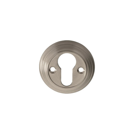 This is an image of Carlisle Brass - Delamain Euro Profile Escutcheon - Satin Nickel available to order from T.H Wiggans Architectural Ironmongery in Kendal, quick delivery and discounted prices.