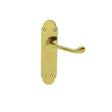 This is an image of Carlisle Brass - Oakley Lever on Latch Backplate - Polished Brass available to order from T.H Wiggans Architectural Ironmongery in Kendal, quick delivery and discounted prices.