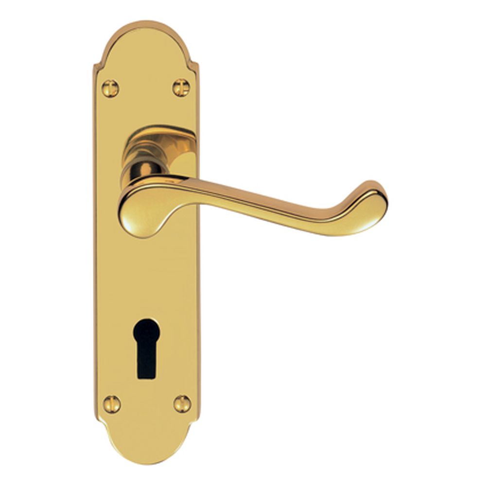 This is an image of Carlisle Brass - Oakley Lever on Lock Backplate - Polished Brass available to order from T.H Wiggans Architectural Ironmongery in Kendal, quick delivery and discounted prices.