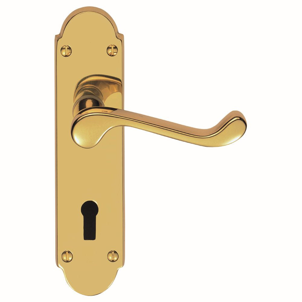 This is an image of Carlisle Brass - Oakley Lever on Lock Backplate - Stainless Brass available to order from T.H Wiggans Architectural Ironmongery in Kendal, quick delivery and discounted prices.