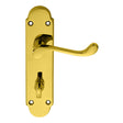 This is an image of Carlisle Brass - Oakley Lever on WC Backplate - Stainless Brass available to order from T.H Wiggans Architectural Ironmongery in Kendal, quick delivery and discounted prices.