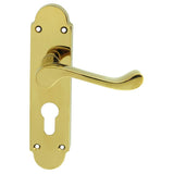 This is an image of Carlisle Brass - Oakley Lever on Euro Lock Backplate - Polished Brass available to order from T.H Wiggans Architectural Ironmongery in Kendal, quick delivery and discounted prices.