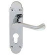 This is an image of Carlisle Brass - Oakley Lever on Euro Lock Backplate - Polished Chrome available to order from T.H Wiggans Architectural Ironmongery in Kendal, quick delivery and discounted prices.