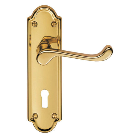 This is an image of Carlisle Brass - Ashtead Lever on Lock Backplate - Polished Brass available to order from T.H Wiggans Architectural Ironmongery in Kendal, quick delivery and discounted prices.