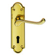 This is an image of Carlisle Brass - Ashtead Lever on Lock Backplate - PVD available to order from T.H Wiggans Architectural Ironmongery in Kendal, quick delivery and discounted prices.