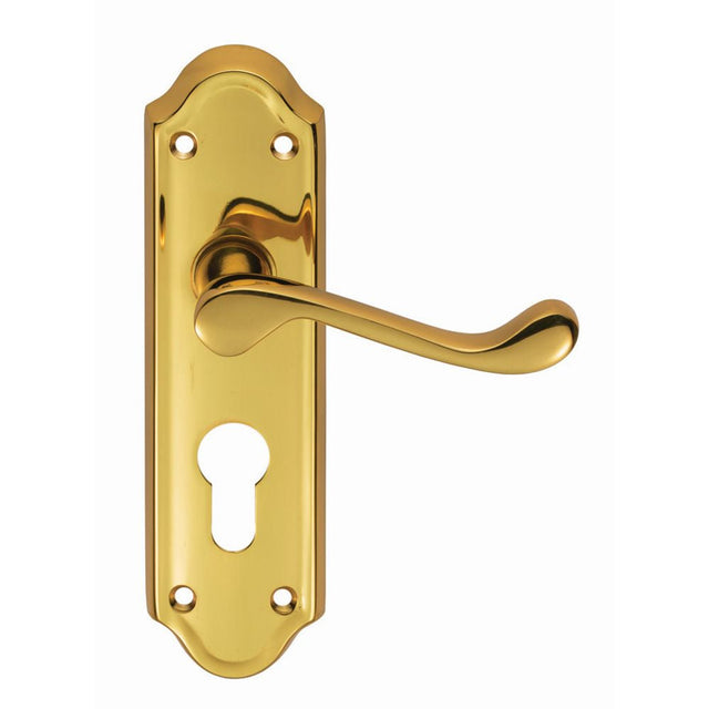 This is an image of Carlisle Brass - Ashtead Lever on Euro Lock Backplate - Polished Brass available to order from T.H Wiggans Architectural Ironmongery in Kendal, quick delivery and discounted prices.